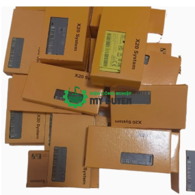 B&R X20CM8281 ( B&R Automation  )