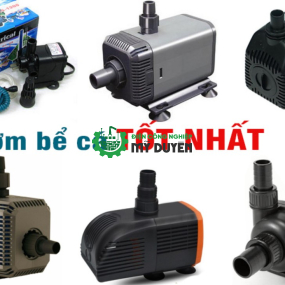 Máy Bơm Nước Hồ Cá Cảnh Bàu Bàng Bình Dương